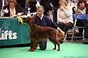 Crufts2011 344